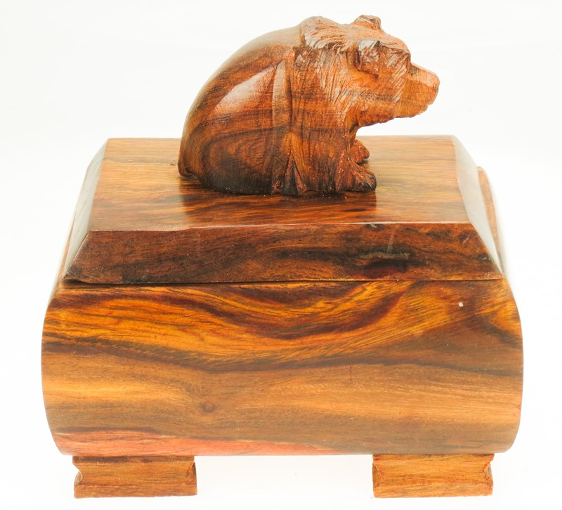 Bear sitting Box - Ironwood Carving  |  EarthView