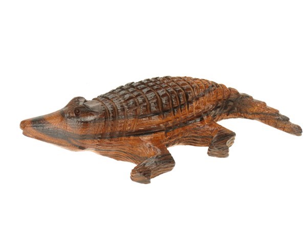 Alligator with detail EV-3893