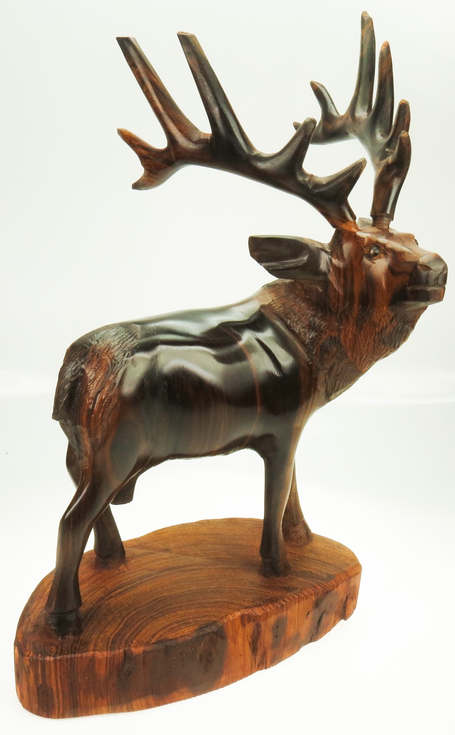 Detailed Elk on Base EV-3583