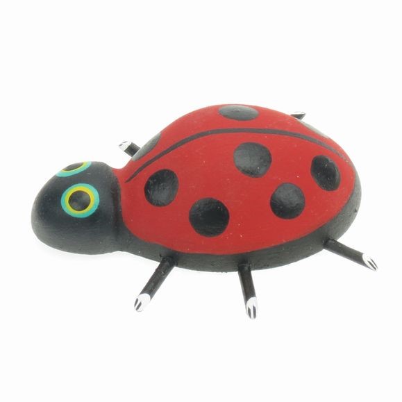 Ladybug EV-GTV501