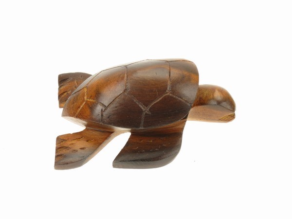 Sea Turtle 3-D Magnet EV-9455