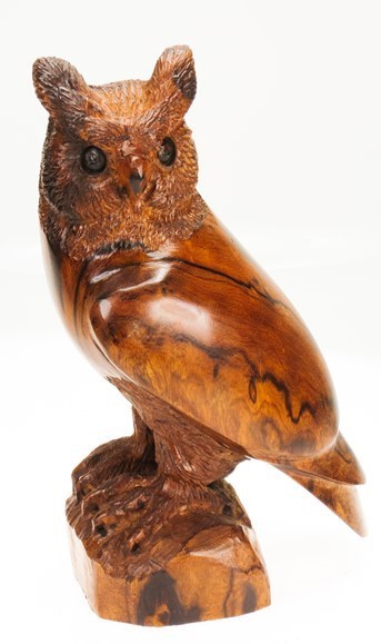 Owl with detail EV-1567