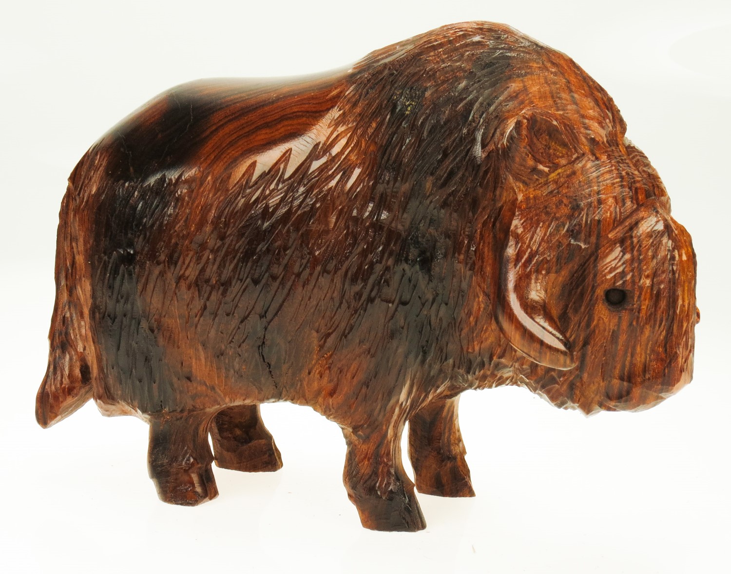 Musk Ox EV-1387