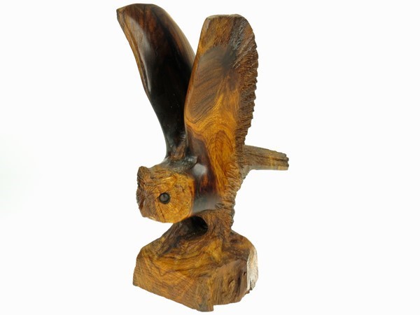 Owls wings up with detail EV-1572