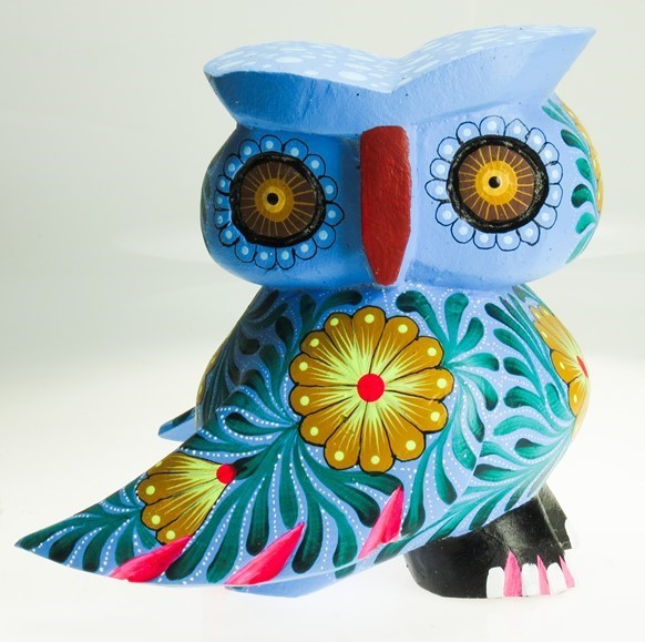 Owl EV-IP503