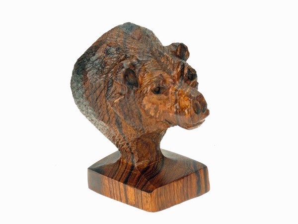 Detailed Moose Bust EV-1377