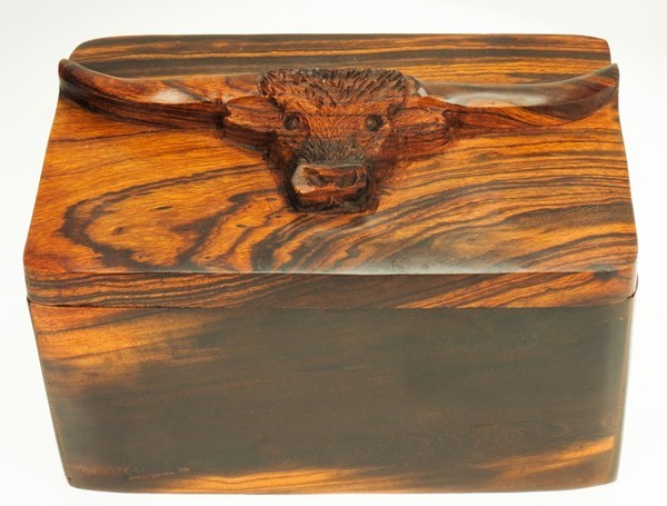 Texas Longhorn Box smooth EV-8678