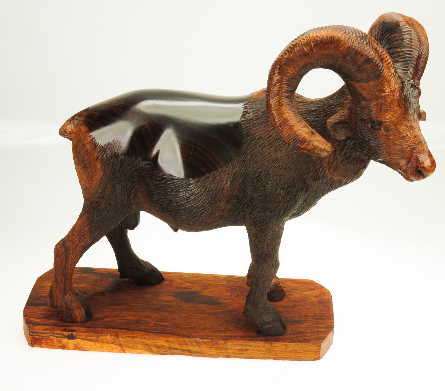 Detailed Big Horn Sheep EV-1694