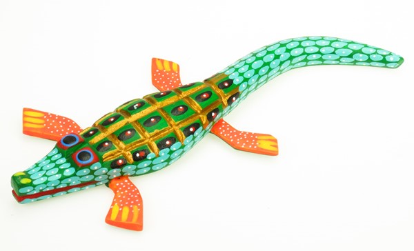 Alligator