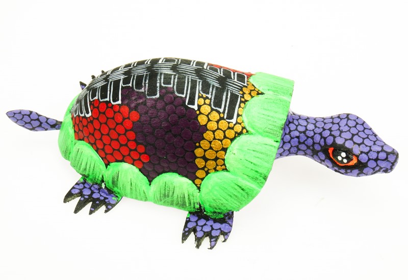 Land Turtle