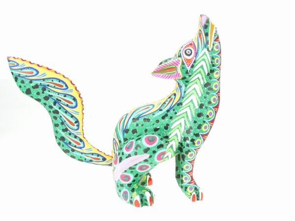 Coyote