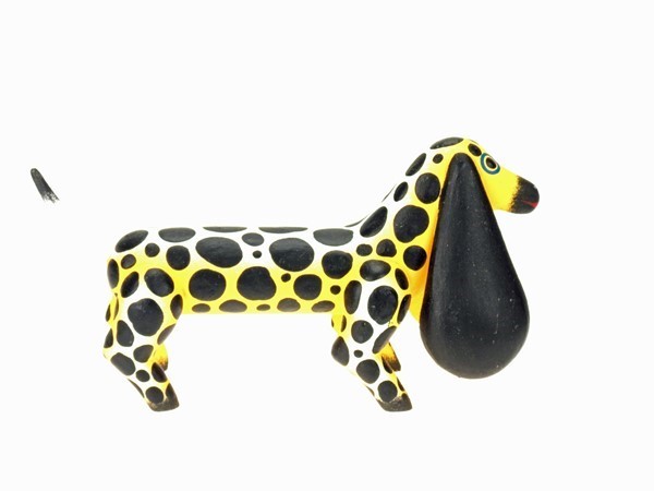 Dog with long ears