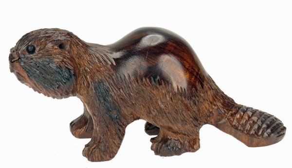 Beaver with detail