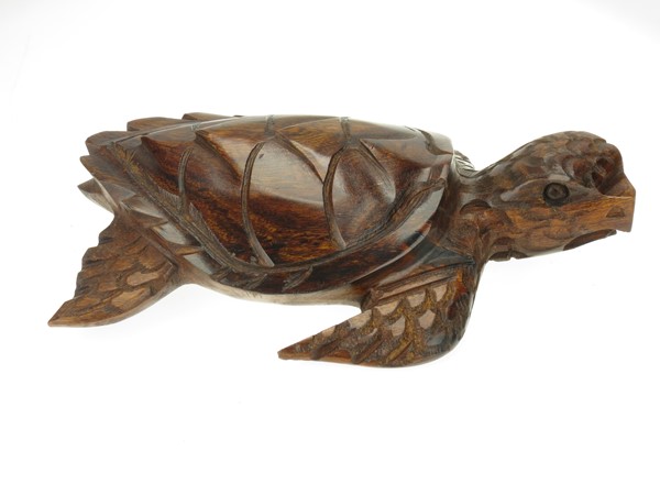 View Sea Turtle, Detailed