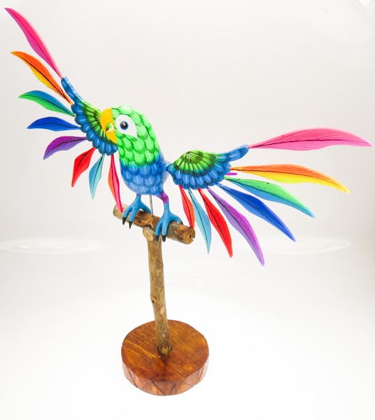 View Parrot on stand