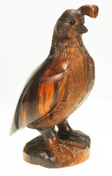 View Detailed Quail